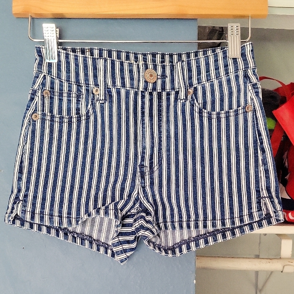American Eagle Outfitters Blue and White Jean Shorts